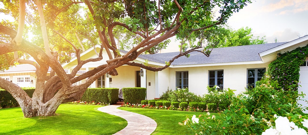 Texas Home Insurance Coverage